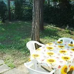 With Patio Near The